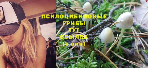MDMA Premium VHQ Дмитровск