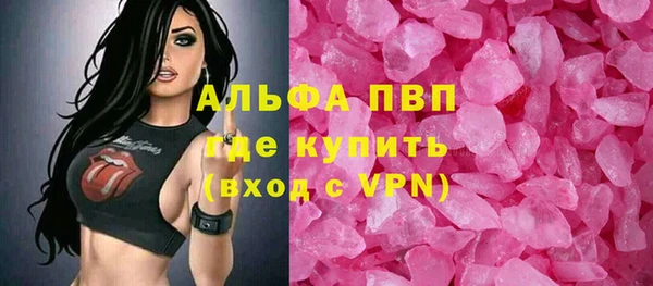 молекула духа Кондопога