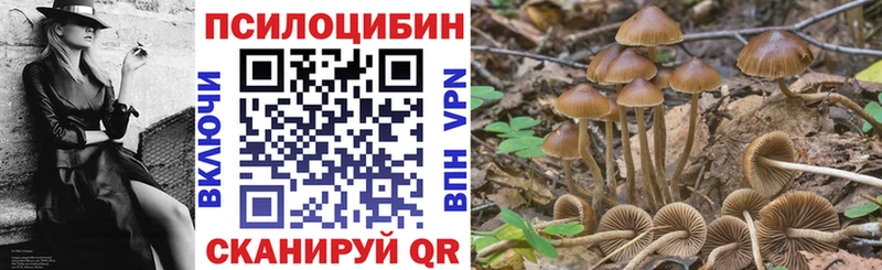 купить сайты МЕГА вход Псилоцибиновые грибы мицелий Нязепетровск